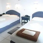 Asimina *