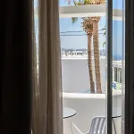 Asimina *